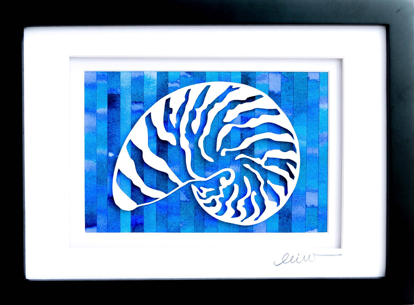 Nautilus