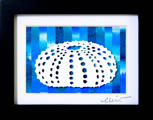 Sea Urchin
