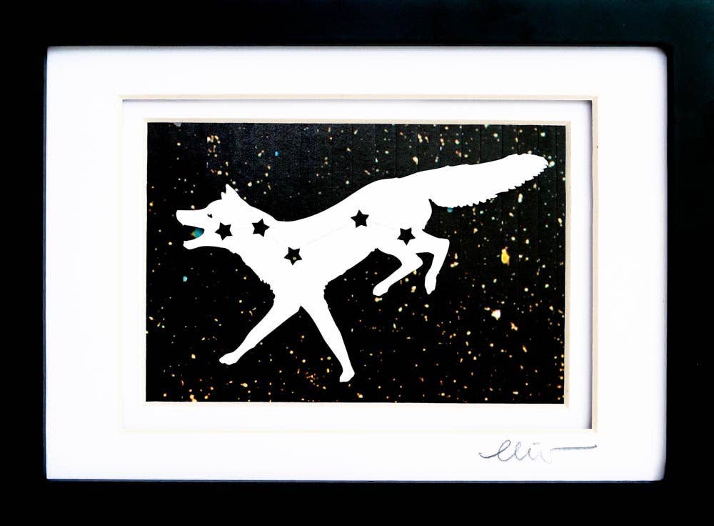 Vulpeca Fox Constellation