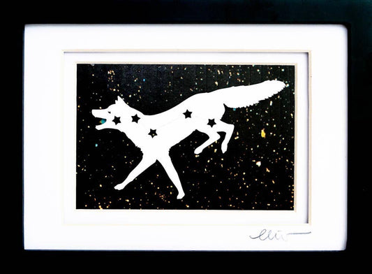 Vulpeca Fox Constellation