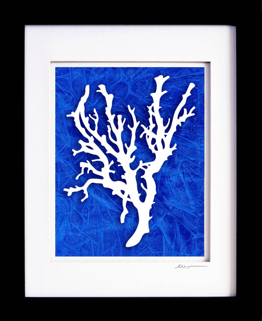 Tall Coral